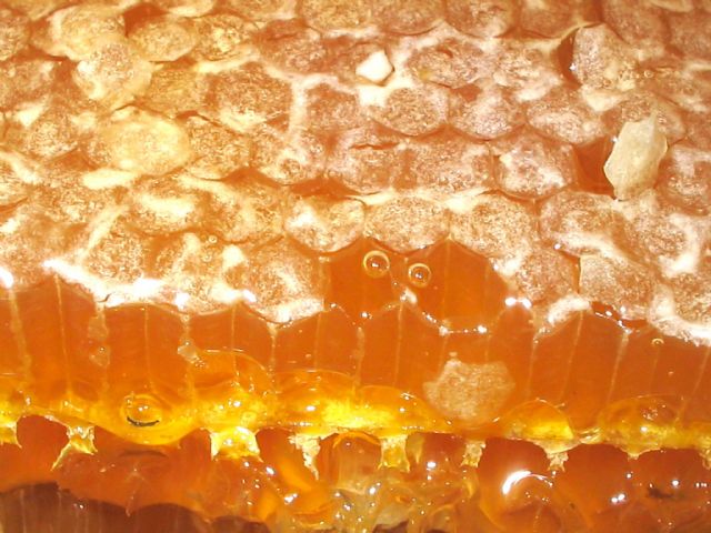 мед в сотах
